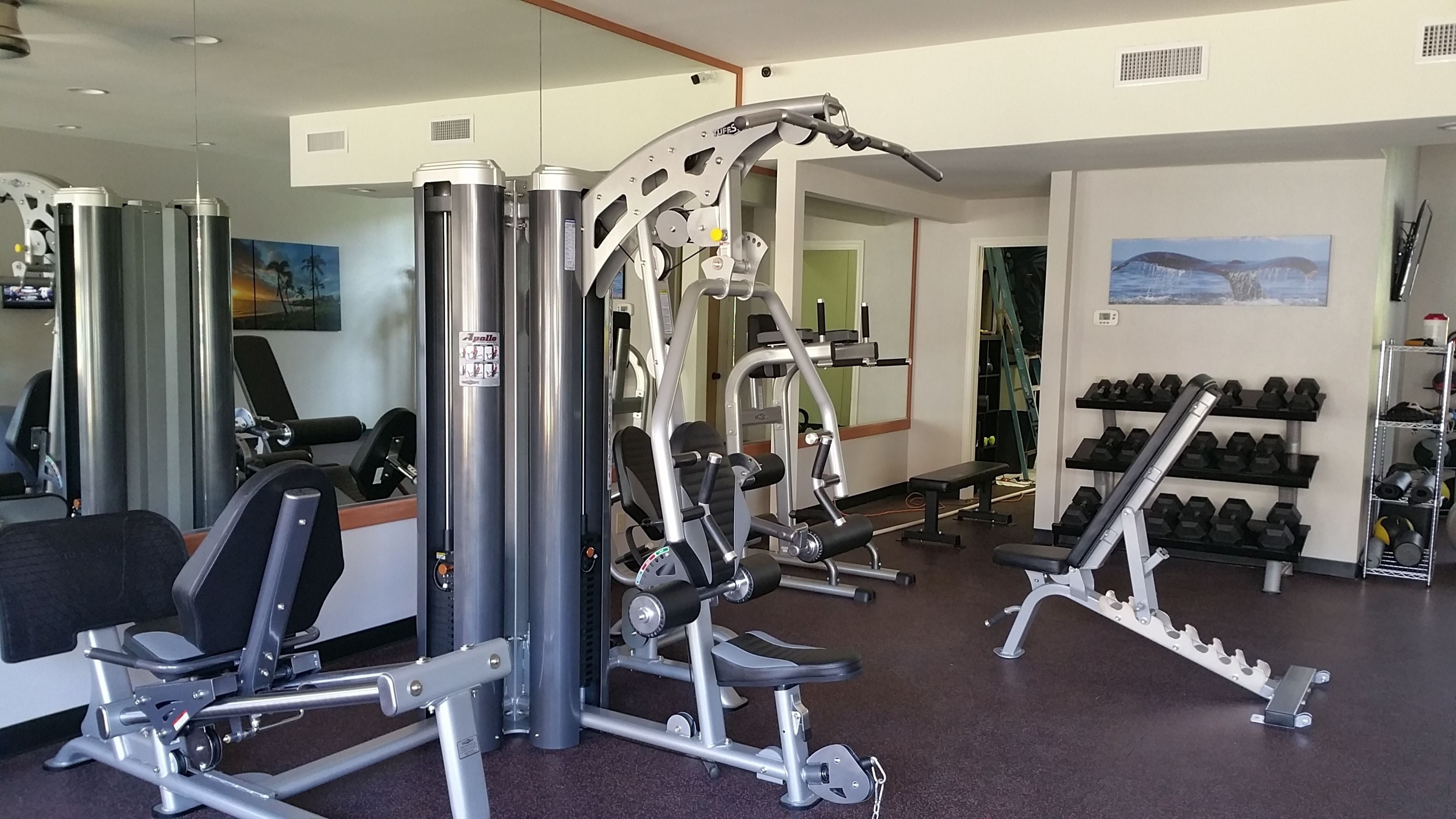 A gym with various exercise equipment, including weight machines and dumbbells.