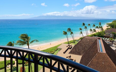 A beach view with palm trees, a clear sky, and a distant mountain.