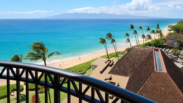 A beach view with palm trees, a clear sky, and a distant mountain.