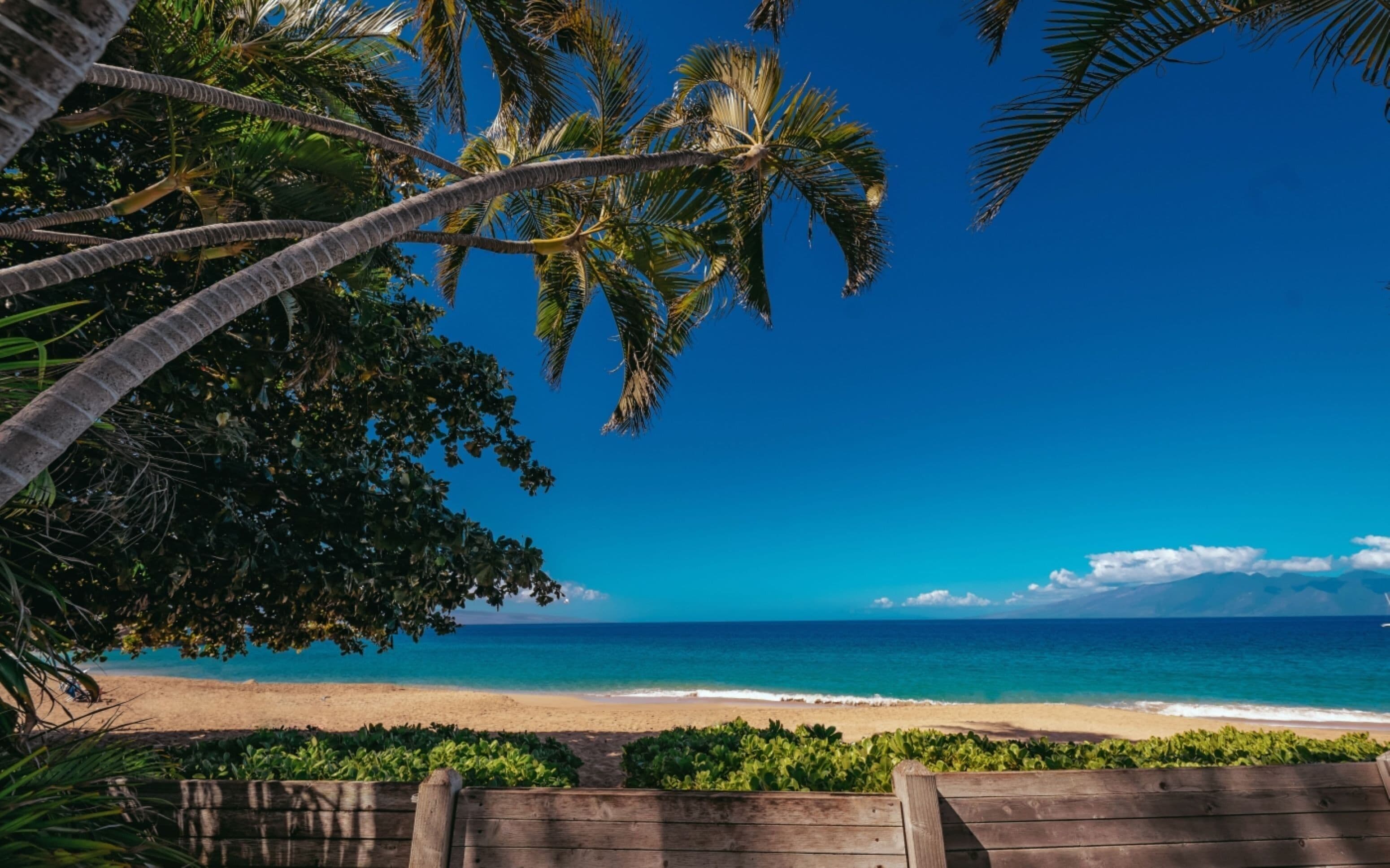 On the beach, white sand, beach cabanas, sun loungers
