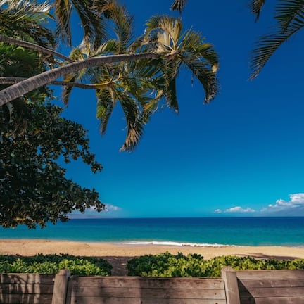 On the beach, white sand, beach cabanas, sun loungers