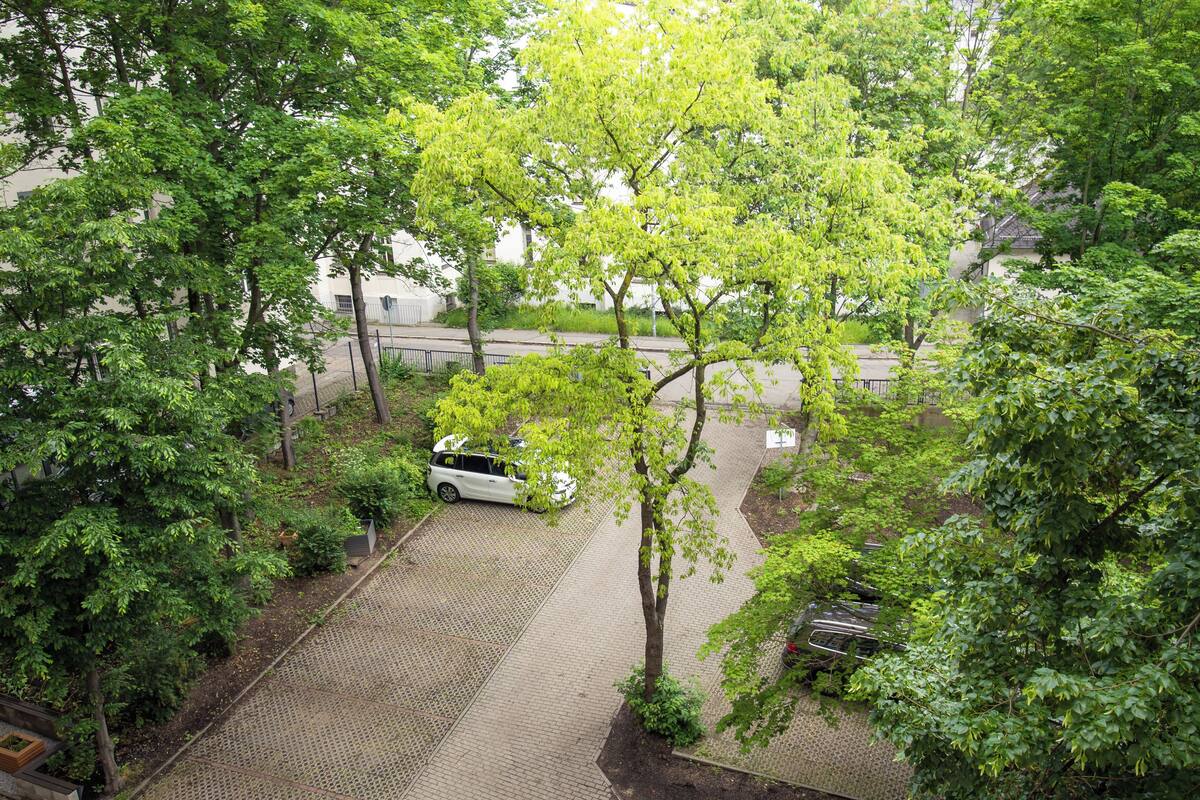 A parking area with a white car, surrounded by trees and a paved walkway.