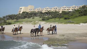 Horseback riding
