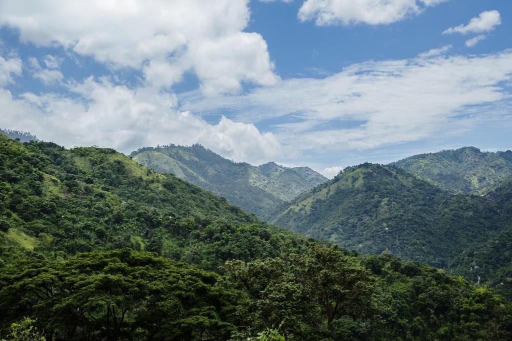 Un paisaje montañoso con vegetación verde exuberante y cielo despejado.