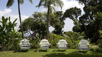 Three white Adirondack chairs in a lush garden with palm trees and tropical plants.