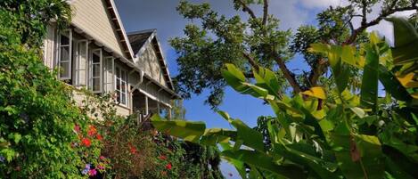 Une maison traditionnelle avec un toit en pente, entourée d’une végétation luxuriante et de plantes en fleurs.