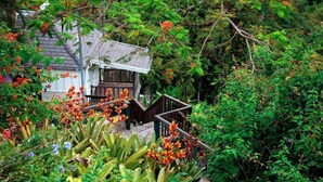 Una casa con escalera de madera que lleva a un porche rodeado de abundante vegetación y plantas con flores.