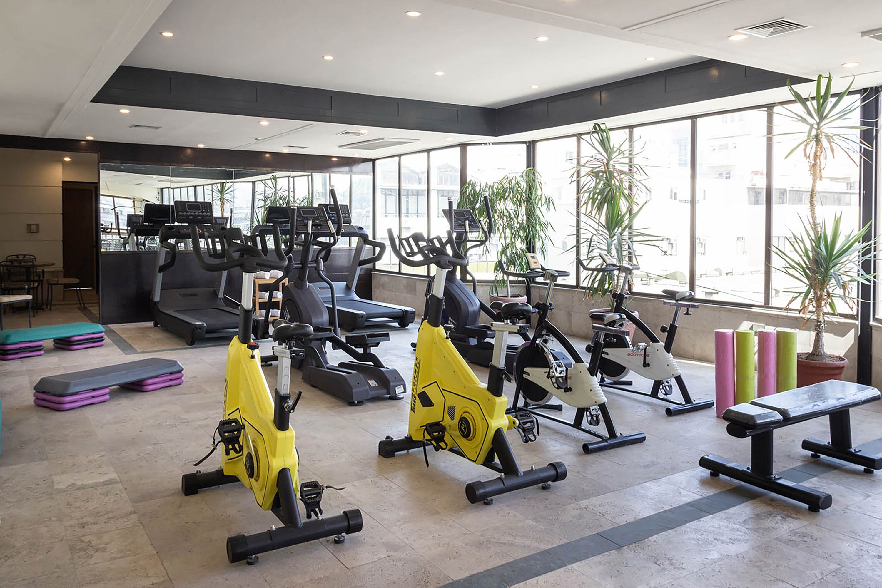 A gym with stationary bikes, treadmills, and a bench.