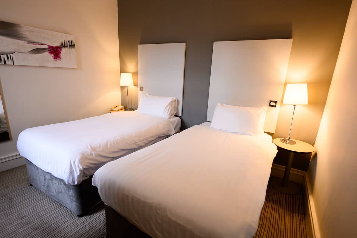 Deluxe Twin Room | Desk, iron/ironing board, travel crib, free WiFi