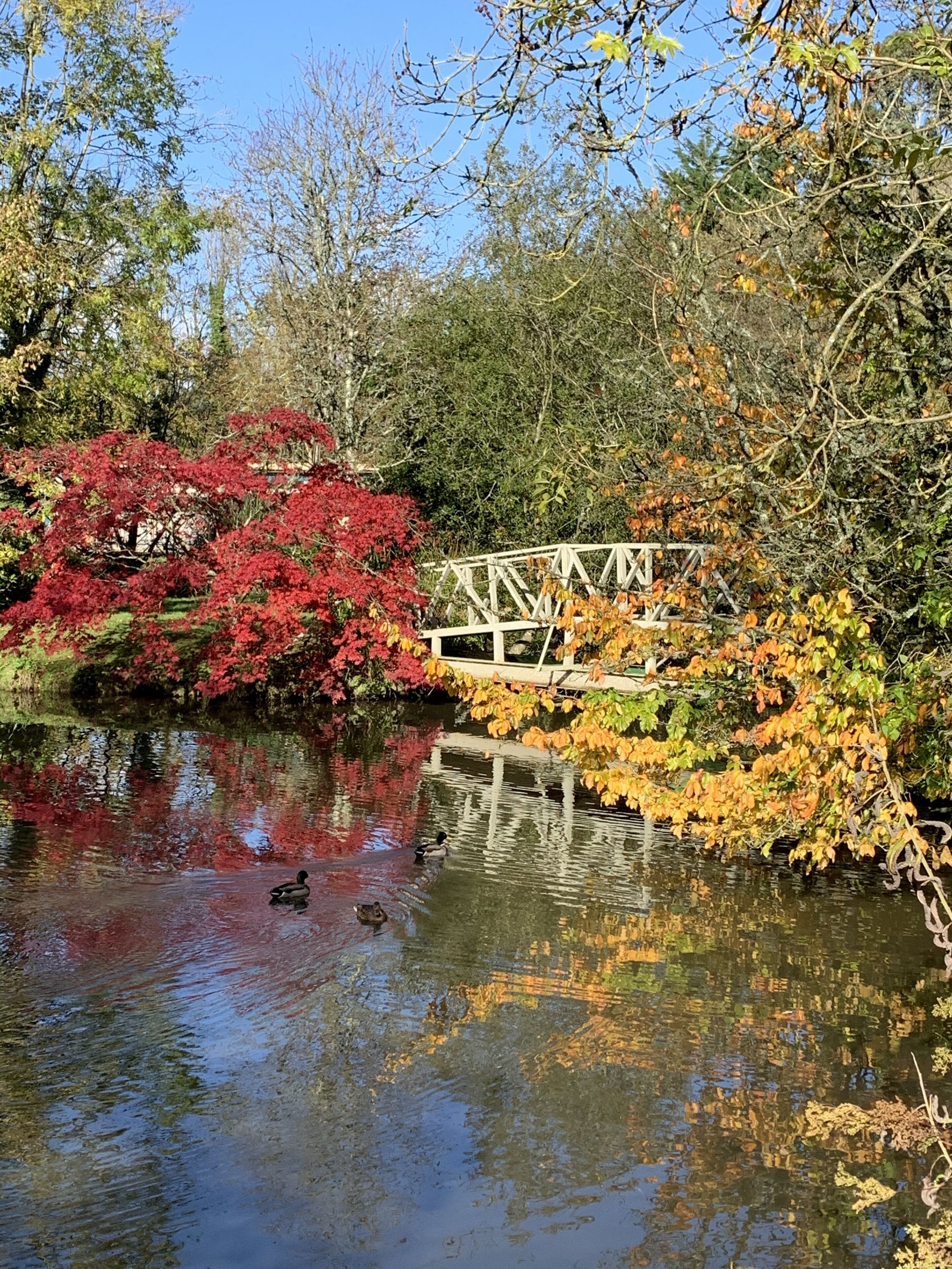 exclusive studio suite, lake view | frette italian sheets, premium bedding, down duvets