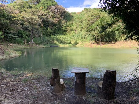 Lago