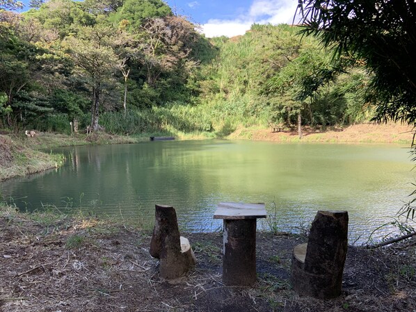Lake