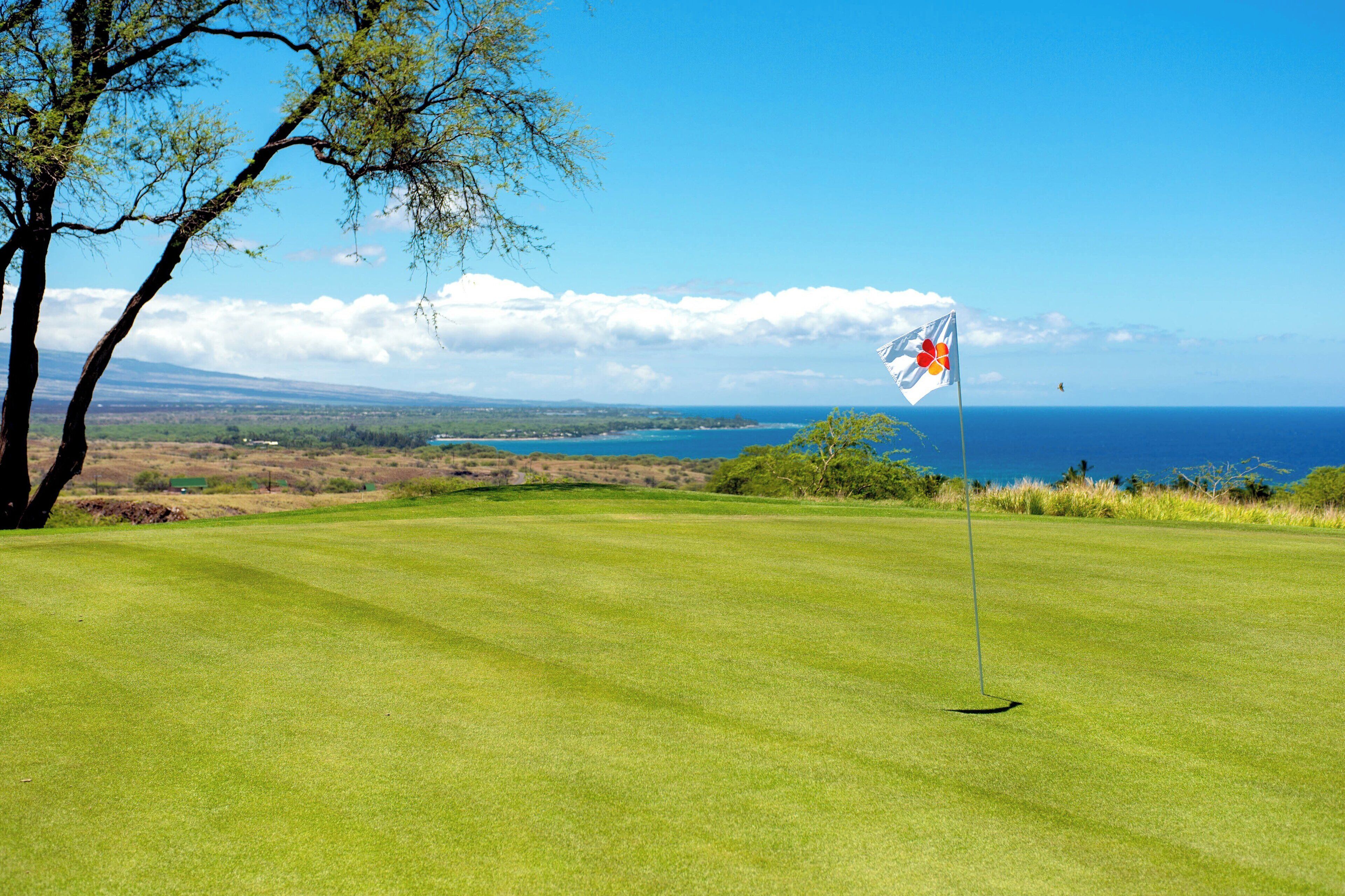 Un campo de golf con una bandera en un asta, un árbol y vistas al océano.