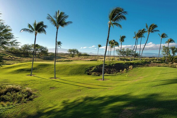 A golf course with palm trees and a clear sky. - The Westin Hapuna Beach Resort (Kamuela)