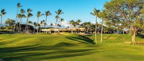 Un campo de golf con un club de campo, palmeras y un cielo azul despejado.