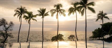 A pool reflecting palm trees and the sunset over the ocean.