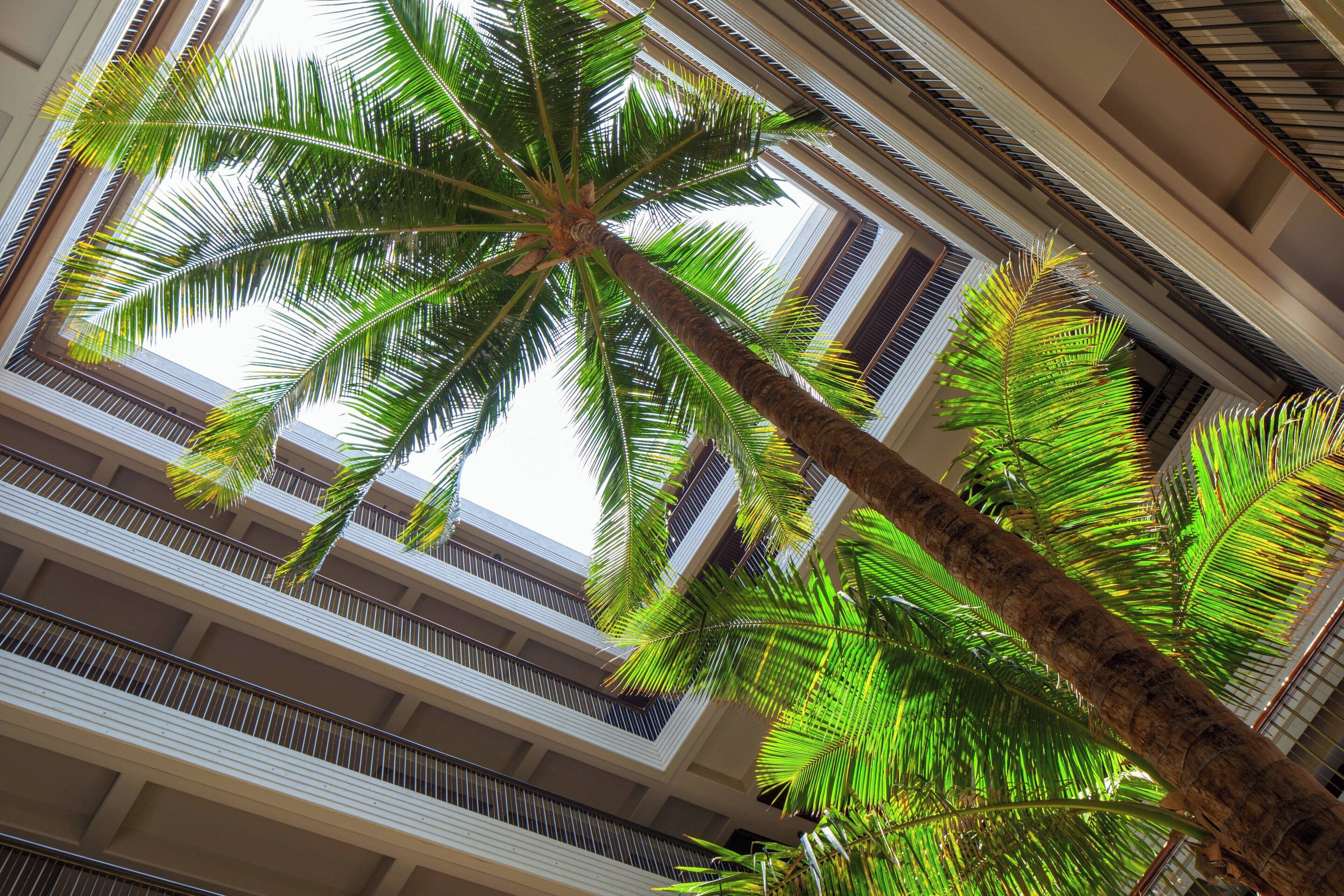 Un edificio de varios pisos con balcones y una palmera.