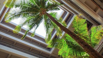 Un edificio de varios pisos con balcones y una palmera.