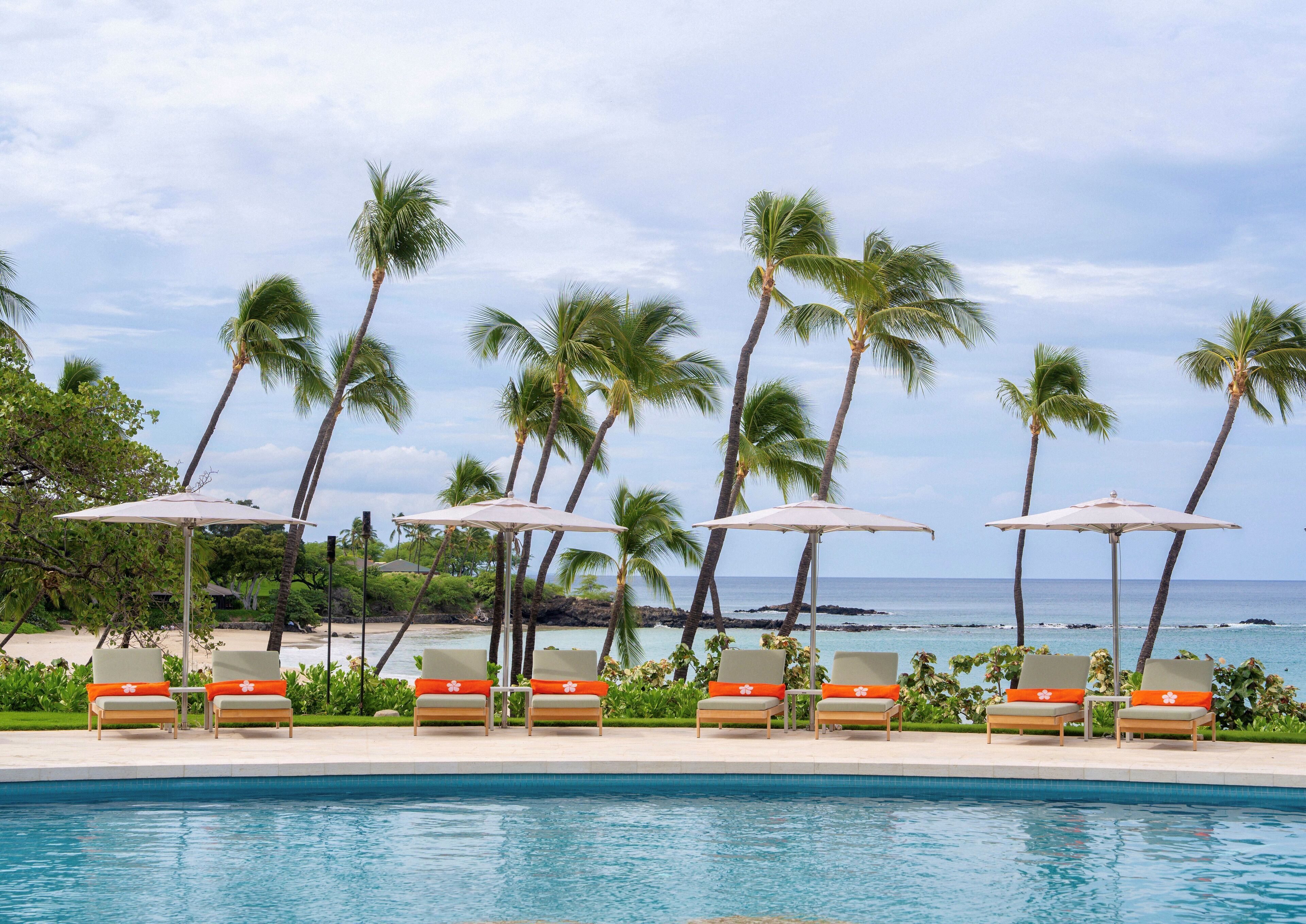 Alberca al aire libre, sombrillas en la alberca y camastros 