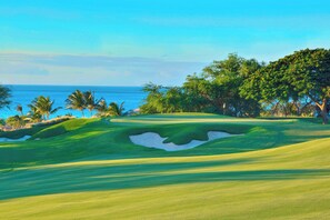 Servicio de la propiedad