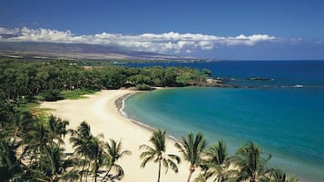 On the beach, sun loungers, beach umbrellas, beach towels