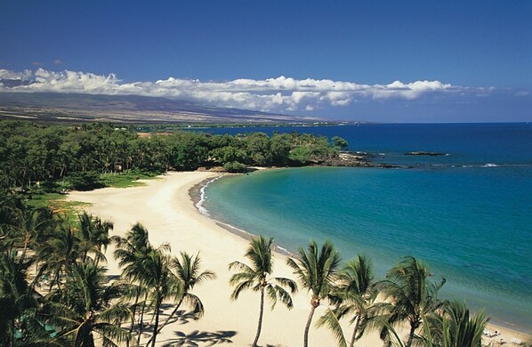 On the beach, sun-loungers, beach umbrellas, beach towels