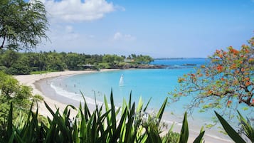 On the beach, sun loungers, beach umbrellas, beach towels