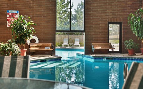 An indoor swimming pool with clear water, surrounded by brick walls, benches, and potted plants.