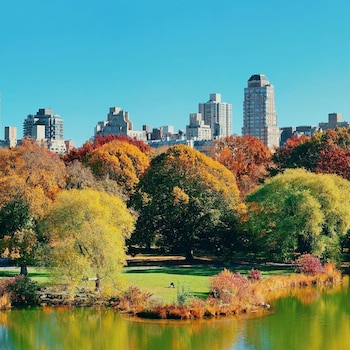 Point of interest at The Prince Kitano New York