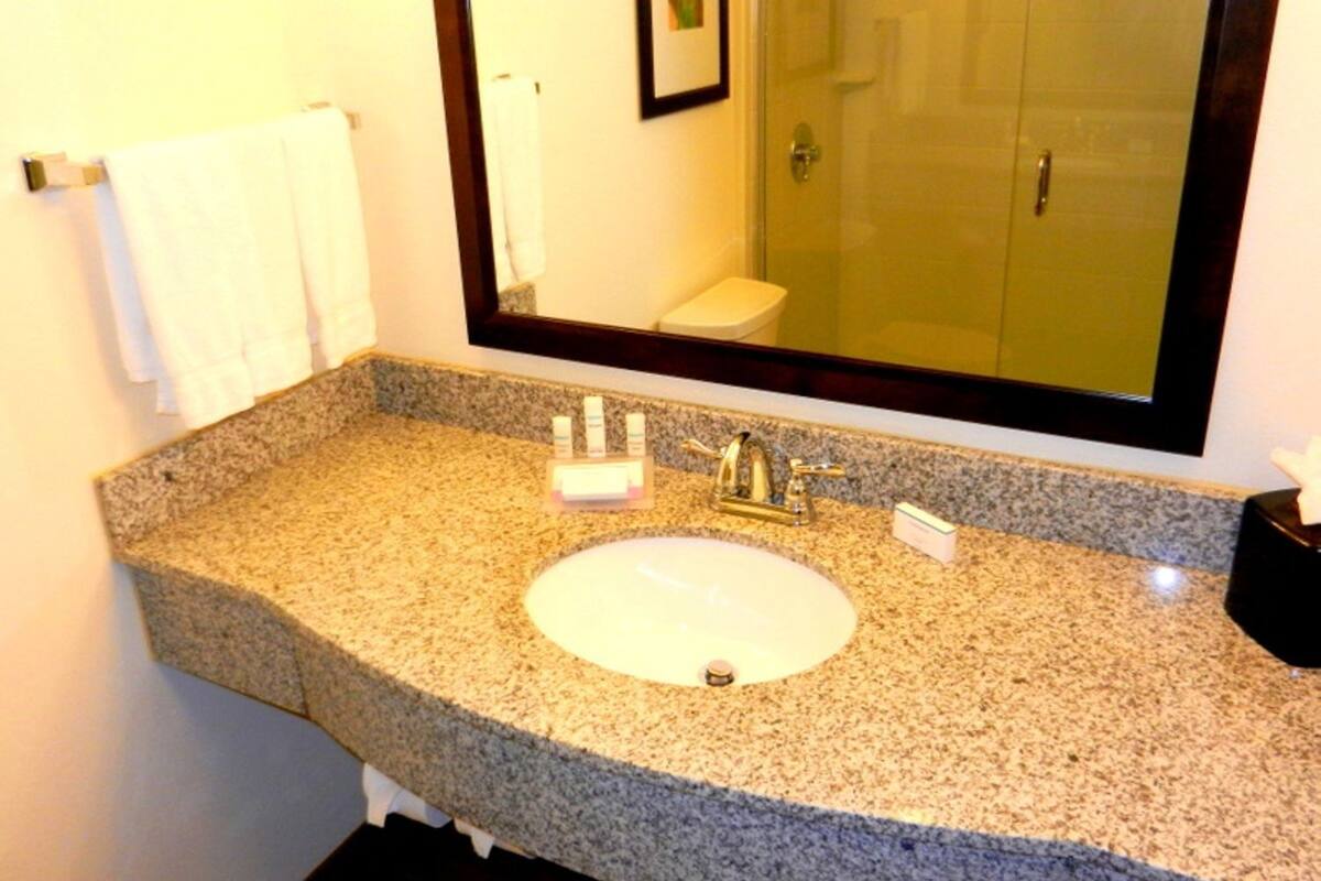 A bathroom with a granite countertop, a sink, a mirror, and a toilet visible in the reflection.
