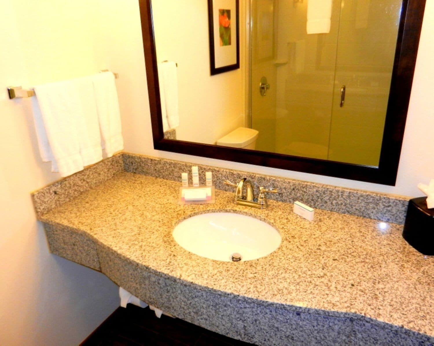 Phòng tắm | Vòi sen/bồn tắm kết hợp, đồ dùng nhà tắm được thiết kế riêng, khăn tắm 