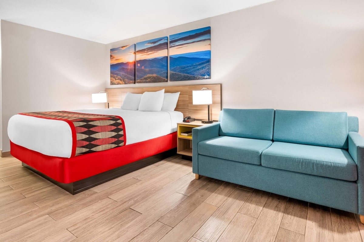 A hotel room with a bed, a blue sofa, a nightstand, and a wall with three landscape paintings.
