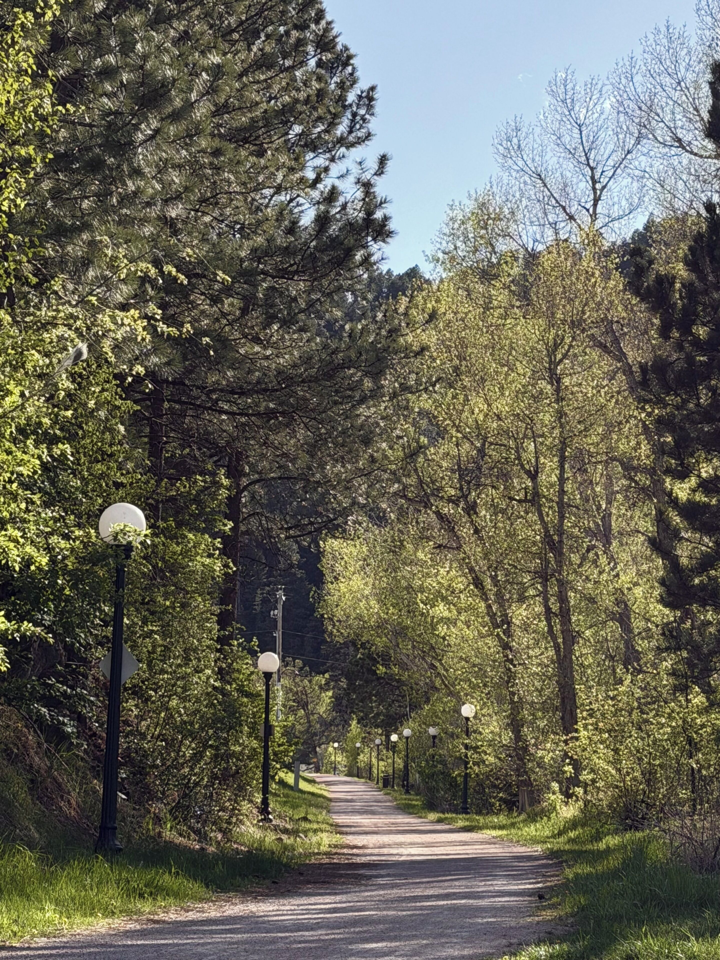 A paved path flanked by trees and street lamps.