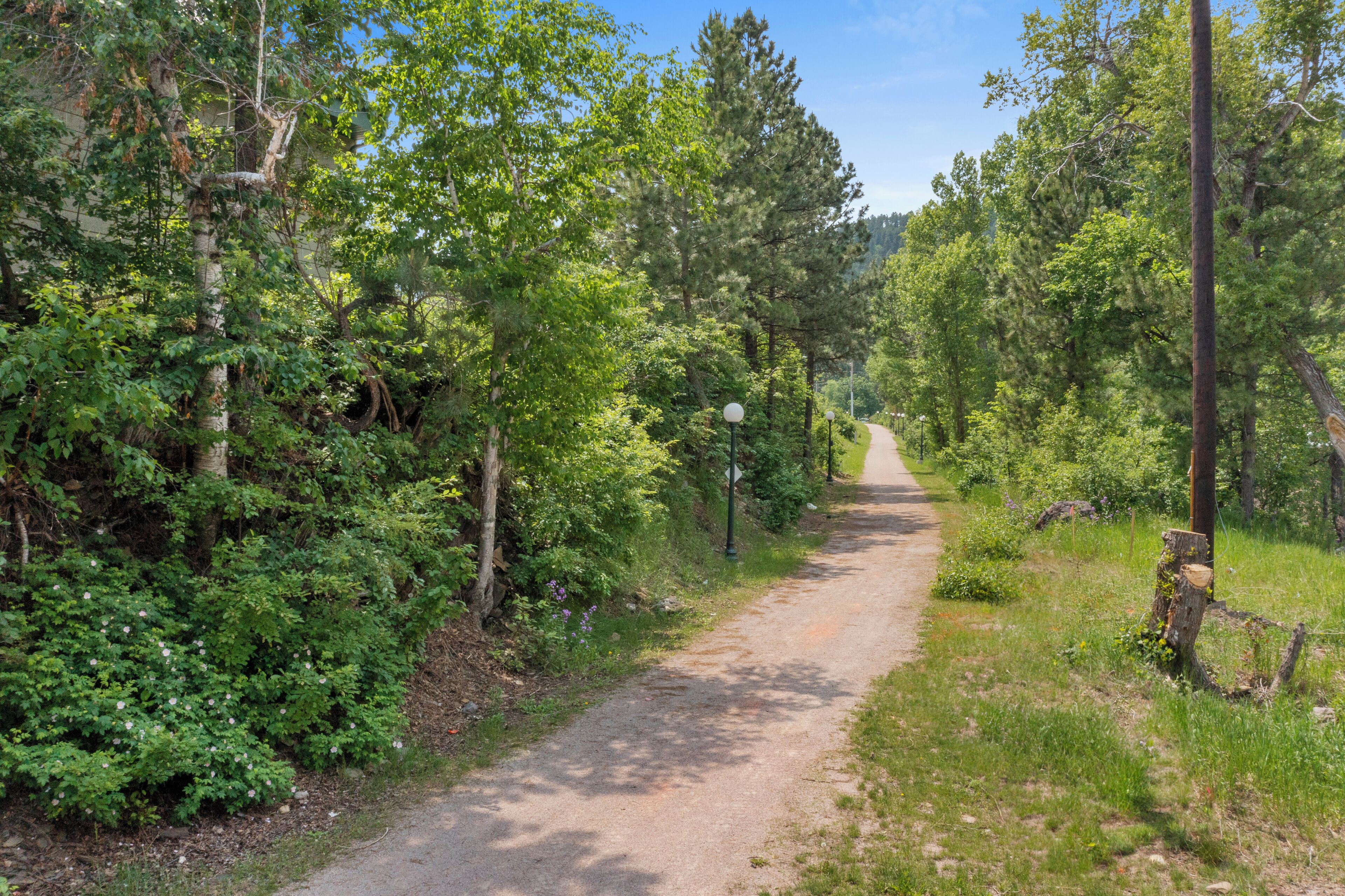 A narrow, unpaved path surrounded by dense greenery and trees.