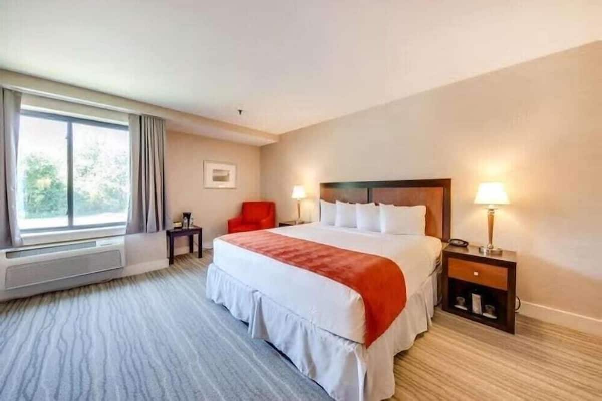 A hotel room with a large bed, two bedside lamps, a nightstand, a chair, and a window with curtains.