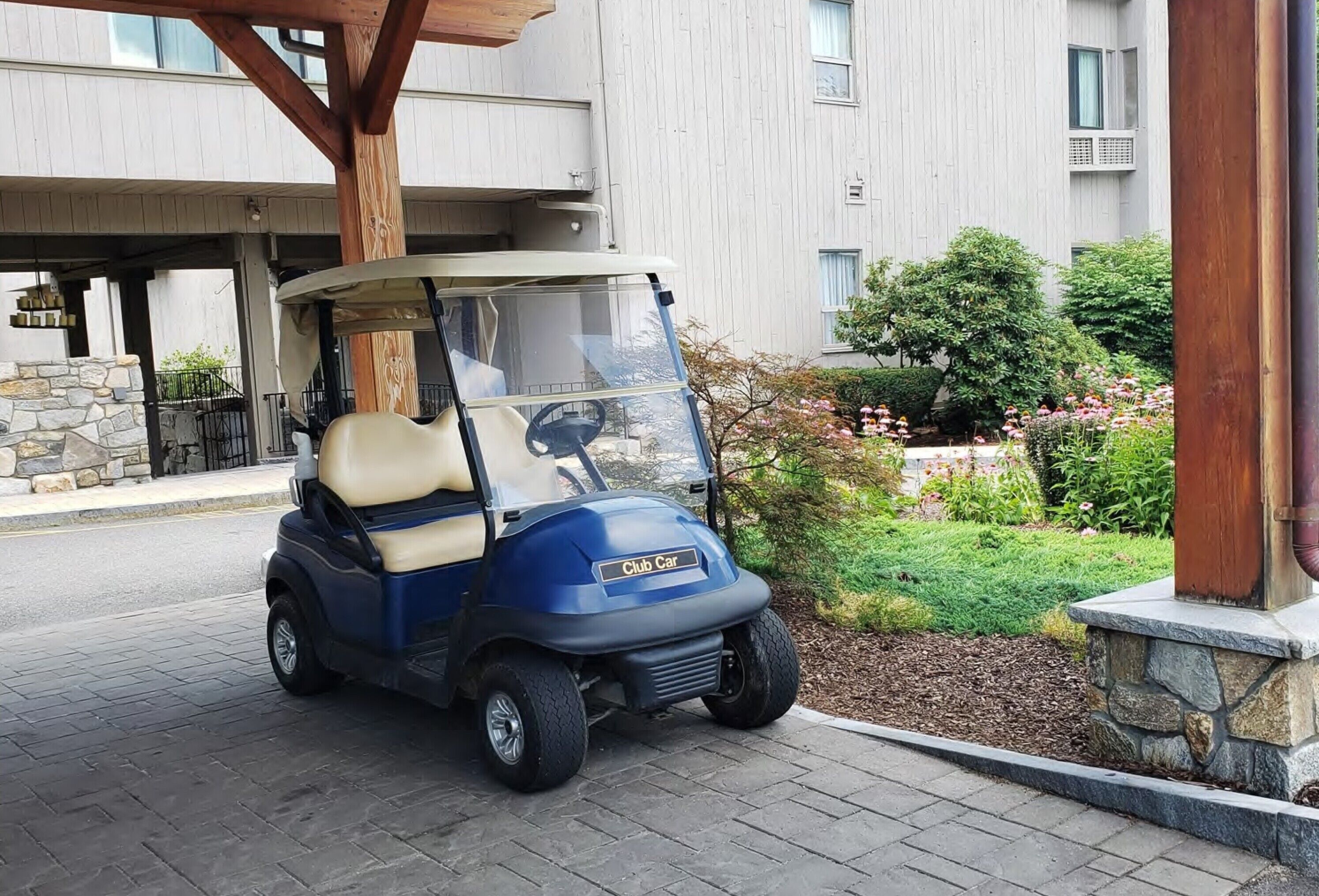 Golf cart