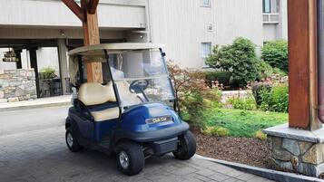 Golf cart