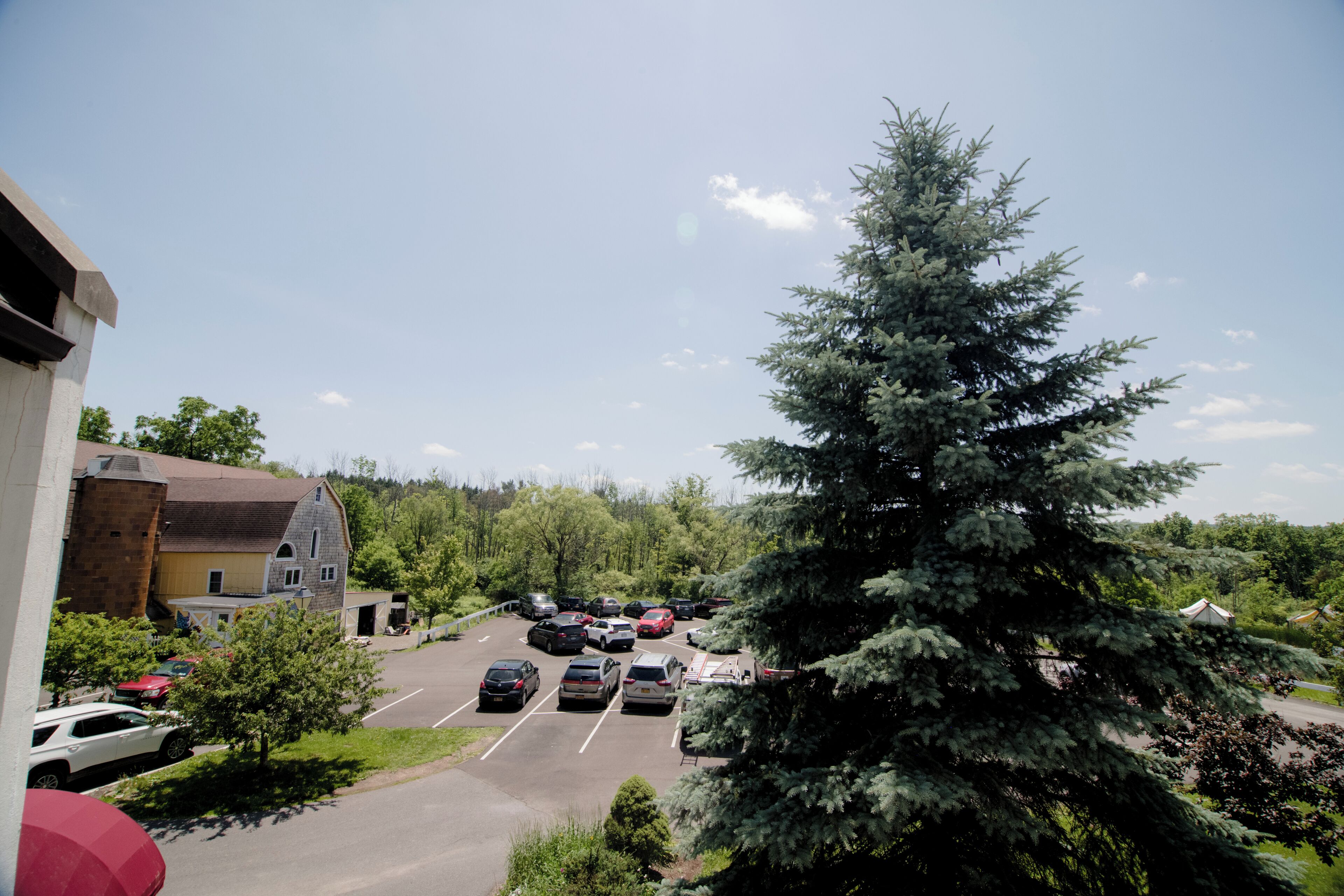 traditional king room | view from room