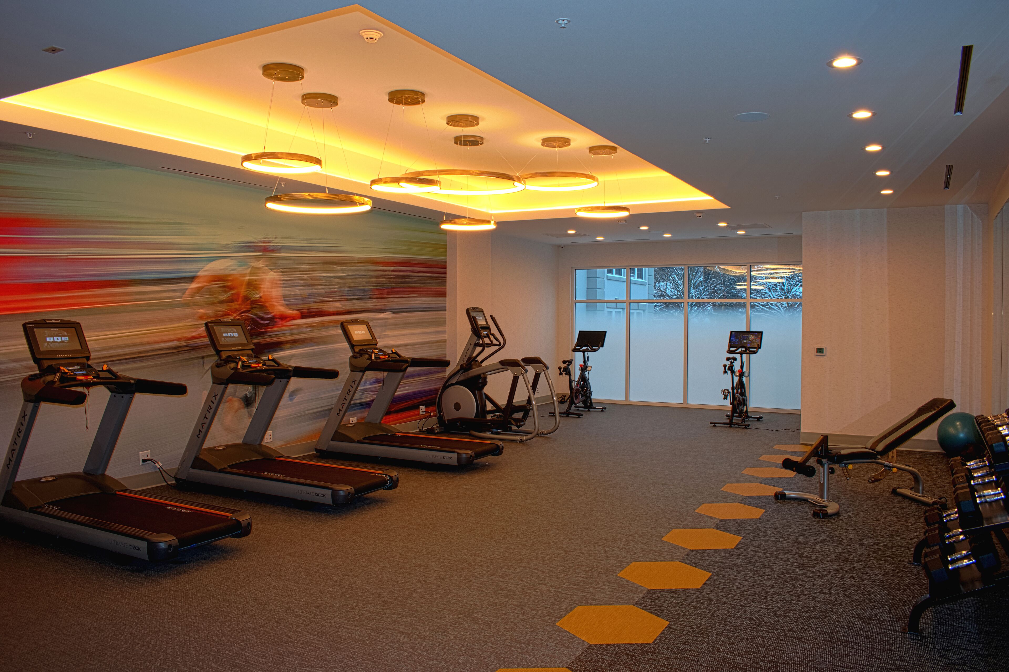 A gym with treadmills, stationary bikes, and a rowing machine.