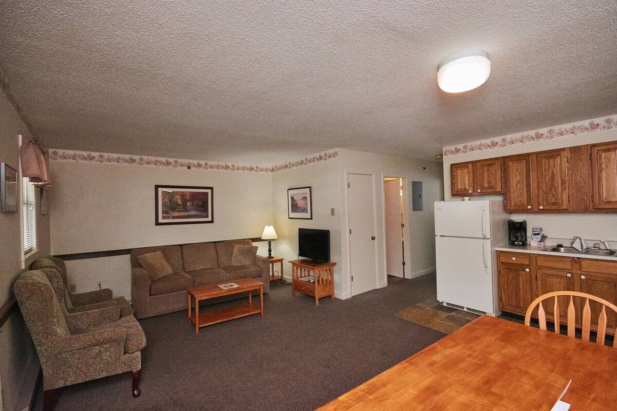 A compact living space with a sofa, armchairs, a coffee table, a television, a dining table, and wooden cabinets.