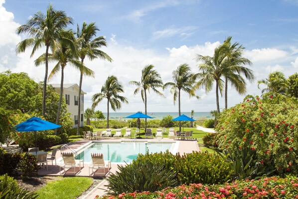 Outdoor pool, pool umbrellas, pool loungers