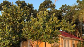 Cottage, Bay View (Country Cottage Room) | Water view