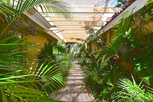Jardin