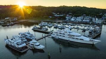 A marina with multiple yachts docked, surrounded by residential buildings and a forested hill in the background.