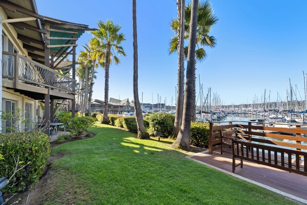 A marina with boats, a grassy area with benches, and palm trees.