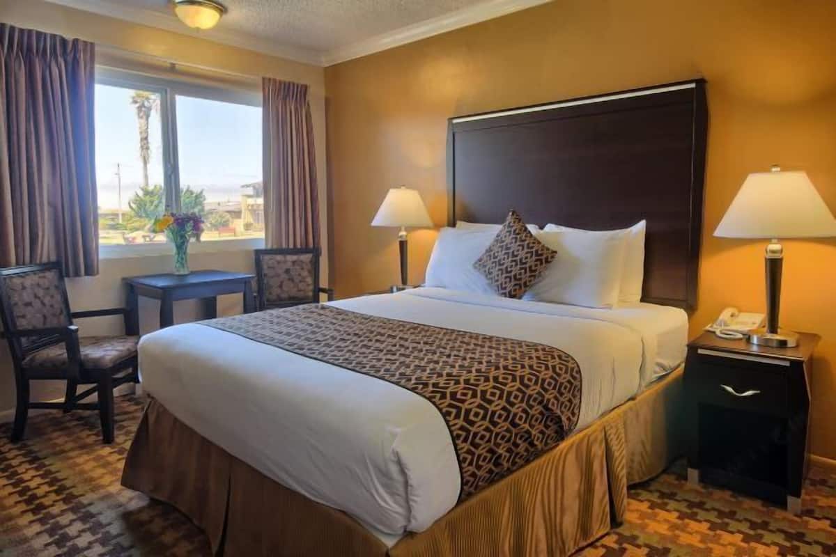 Hypo-allergenic bedding, desk, blackout drapes, cribs/infant beds