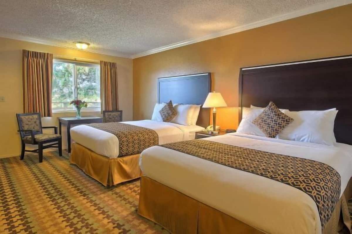 Hypo-allergenic bedding, desk, blackout drapes, cribs/infant beds