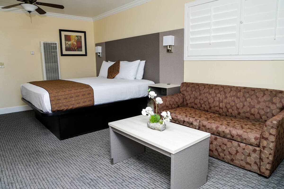 A hotel room with a bed, a sofa, a nightstand, a lamp, and a ceiling fan.