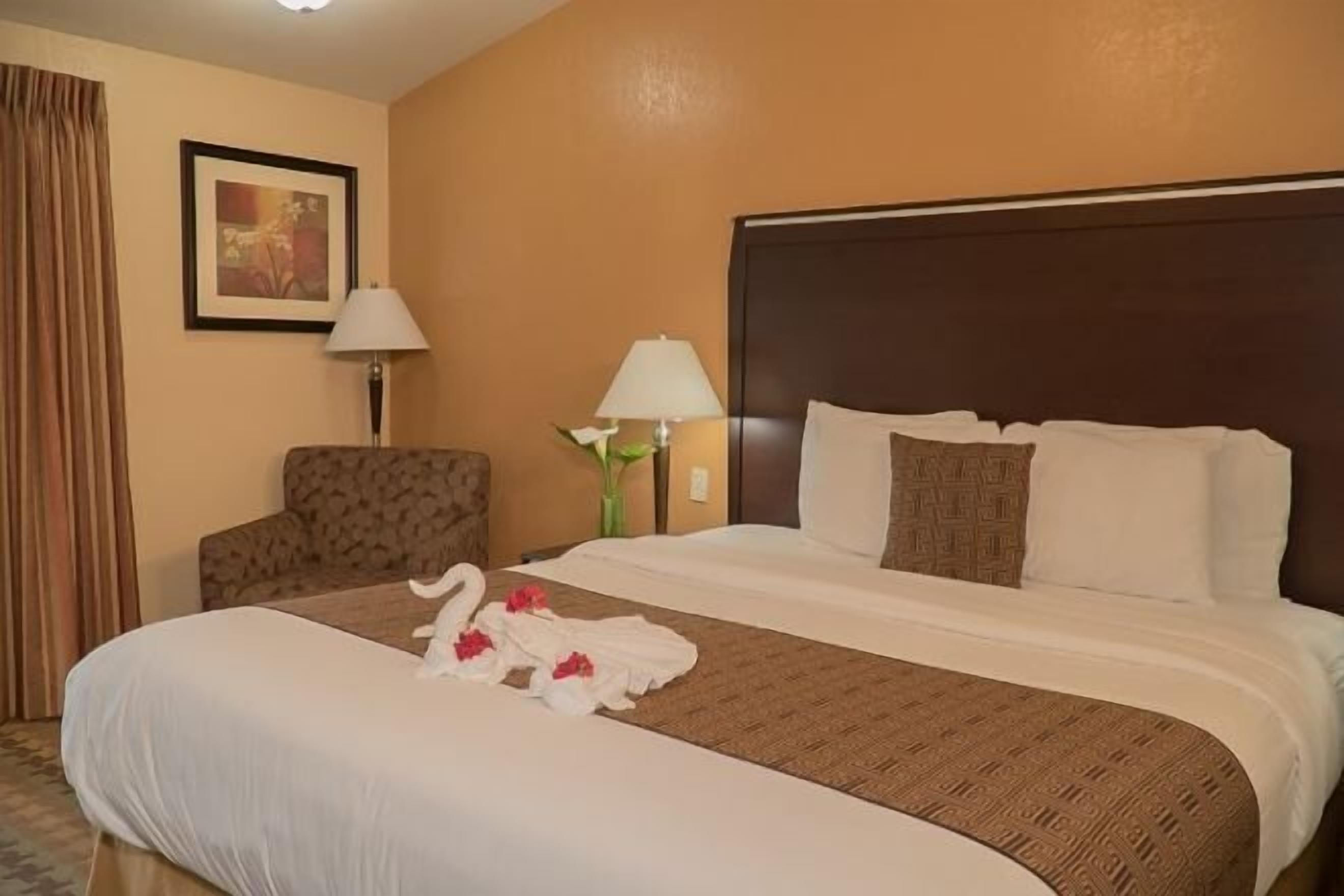 低過敏寢具、書桌、遮光布/窗簾、搖籃/嬰兒床