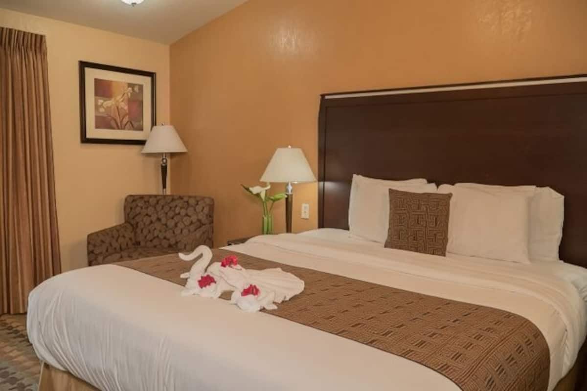 Hypo-allergenic bedding, desk, blackout drapes, free WiFi
